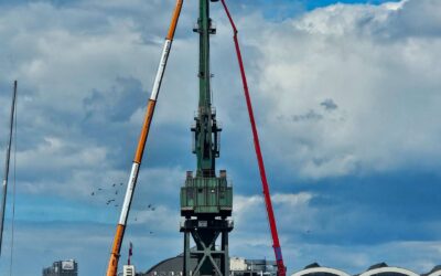 WYMIANA KÓŁ LINOWYCH ŻURAWIA